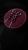 IMG_6233.jpeg