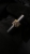 IMG_6500.jpeg