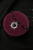 5D3461D3-EA7E-4B05-8BB1-D03CCABF35AC.png