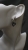 IMG_7586.jpeg