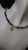 IMG_7613.jpeg