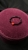 IMG_8369.jpeg