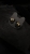 IMG_5369.jpeg
