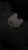 IMG_5372.jpeg