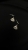 IMG_5250.jpeg
