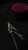 IMG_5146.jpeg