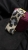 IMG_5799.jpeg