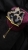 IMG_5811.jpeg